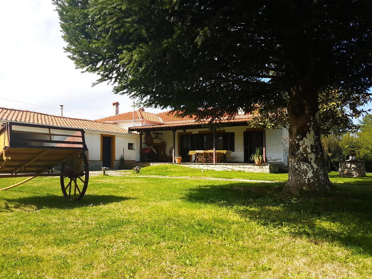 Yiayia'S Rina'S Lovely Cottage Pteria Exterior foto